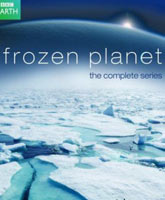 Frozen Planet /  